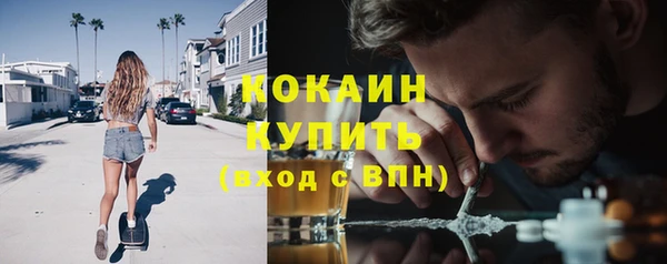 гашик Арсеньев