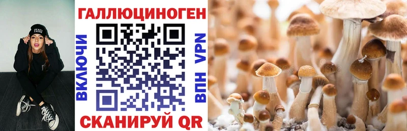 Псилоцибиновые грибы Cubensis  shop Telegram  Камешково  где можно купить наркотик 